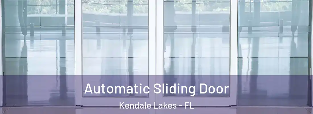 Automatic Sliding Door Kendale Lakes - FL