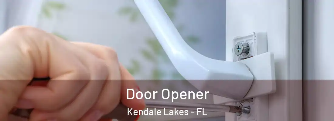 Door Opener Kendale Lakes - FL
