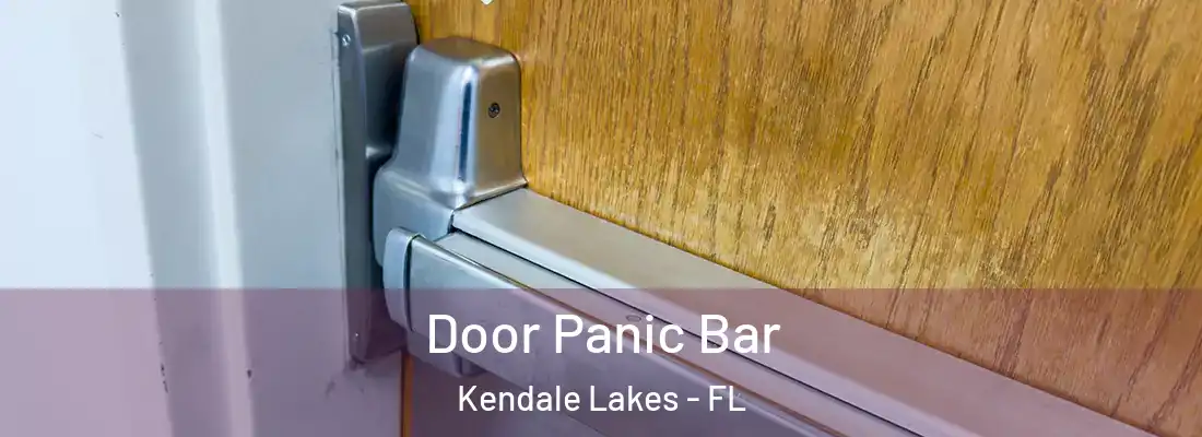 Door Panic Bar Kendale Lakes - FL