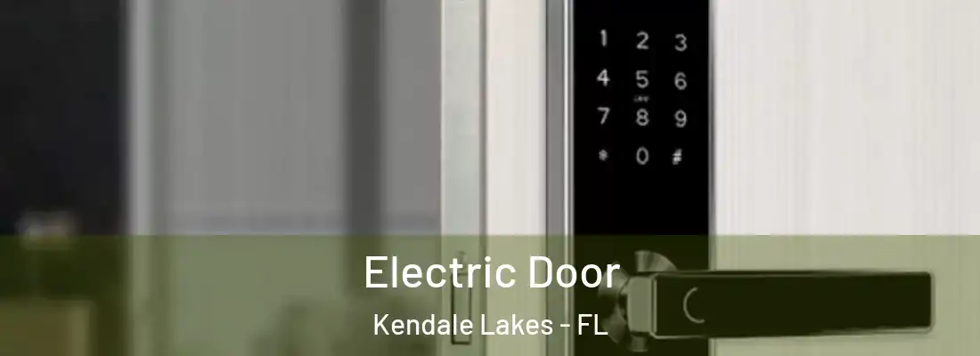 Electric Door Kendale Lakes - FL