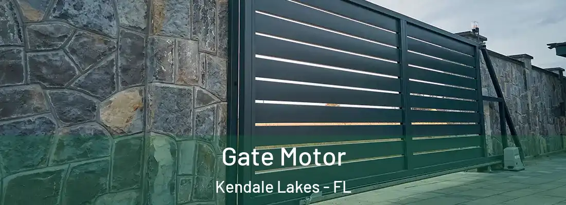 Gate Motor Kendale Lakes - FL