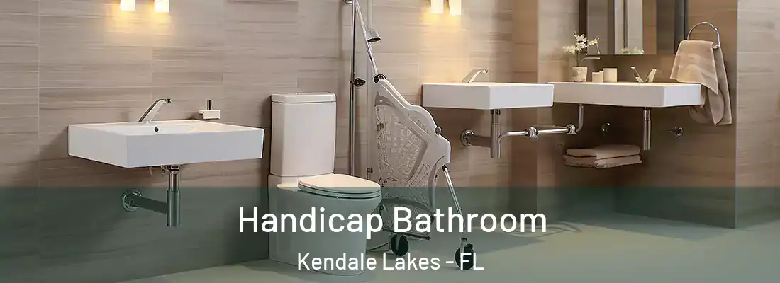 Handicap Bathroom Kendale Lakes - FL