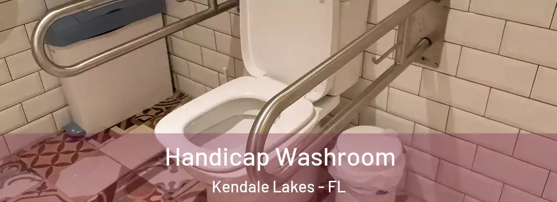 Handicap Washroom Kendale Lakes - FL