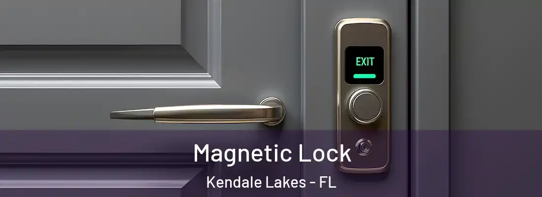 Magnetic Lock Kendale Lakes - FL
