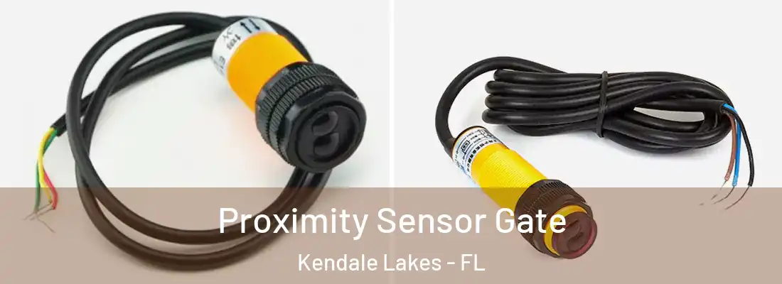 Proximity Sensor Gate Kendale Lakes - FL